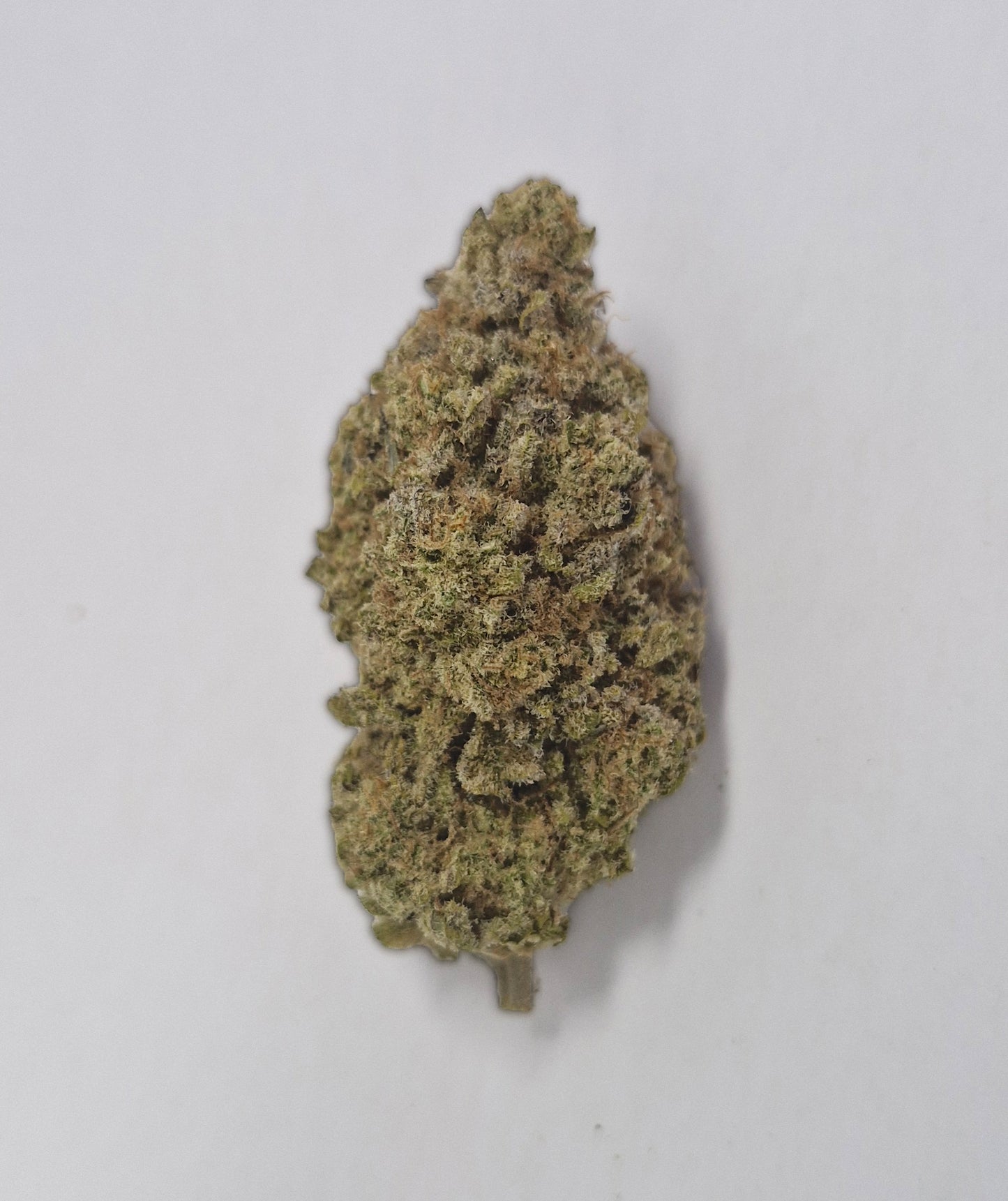 Blueberry Swirl - Indoor